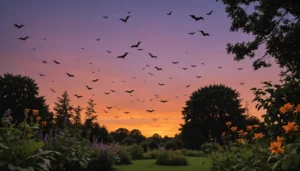 chauve souris